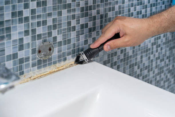 Best Localized Mold Remediation (e.g., coastal areas, humid climates) in Pekin, IL