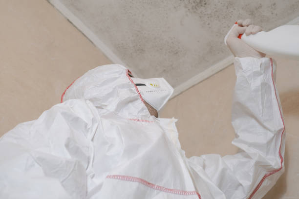 Best Kitchen Mold Remediation in Pekin, IL